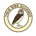 Yolo Bird Alliance logo
